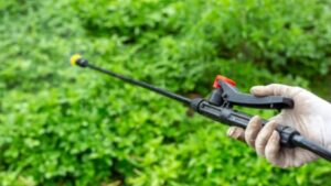 When Is the Right Time to Apply Pesticides?